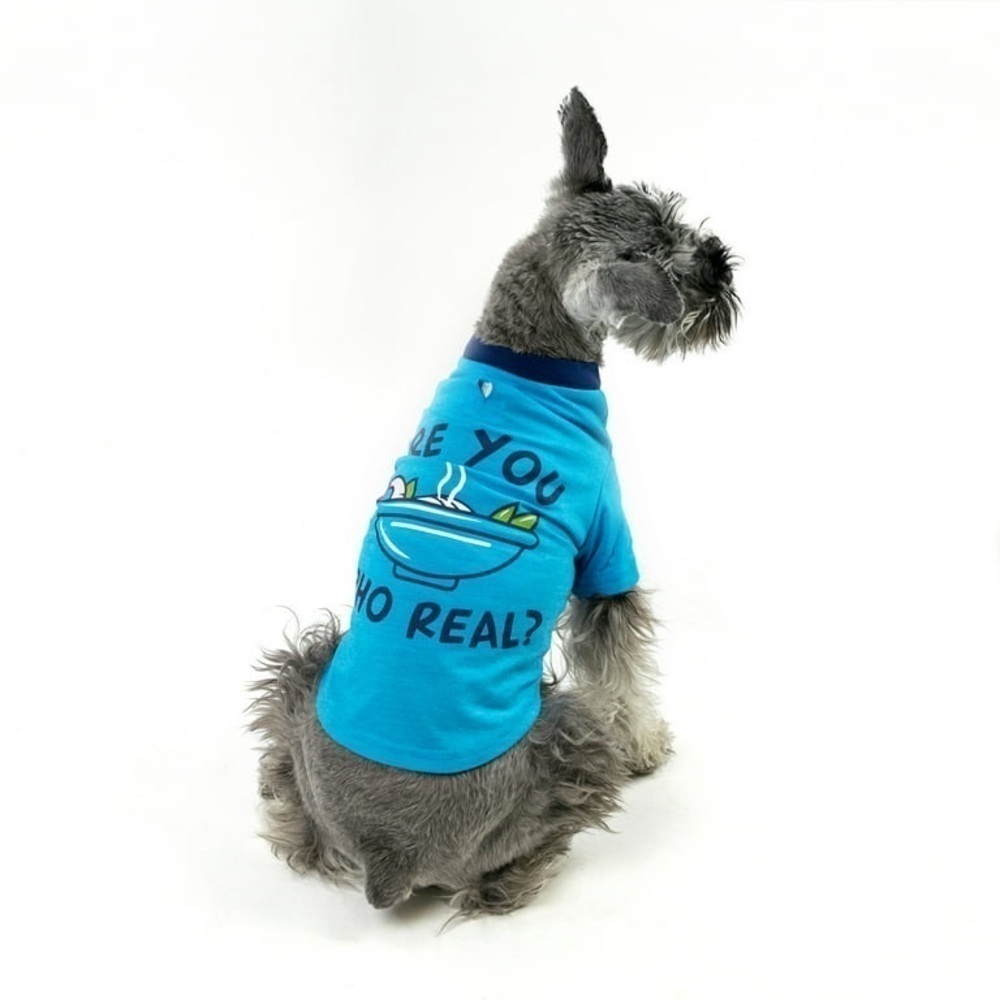 VIBRANT LIFE DOG SHIRT SIZE MEDIUM NWT BLUE COLOR​